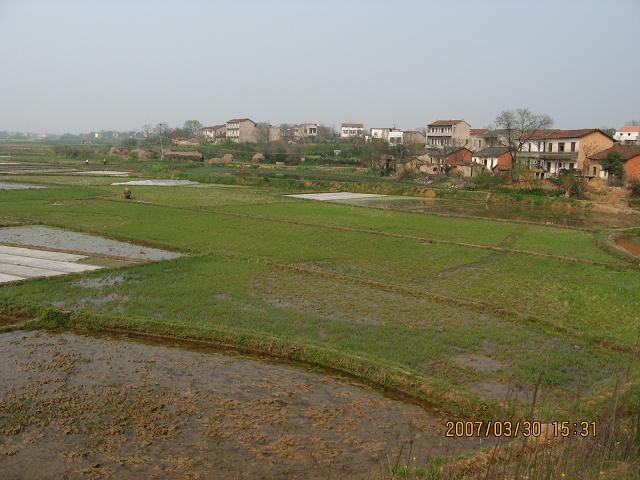 07.JPG
