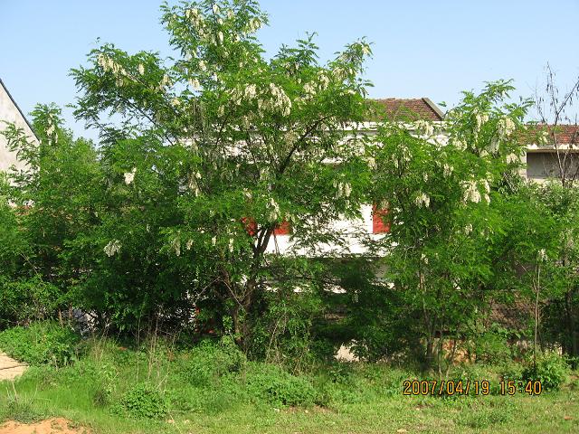 14.JPG