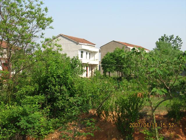 05.JPG