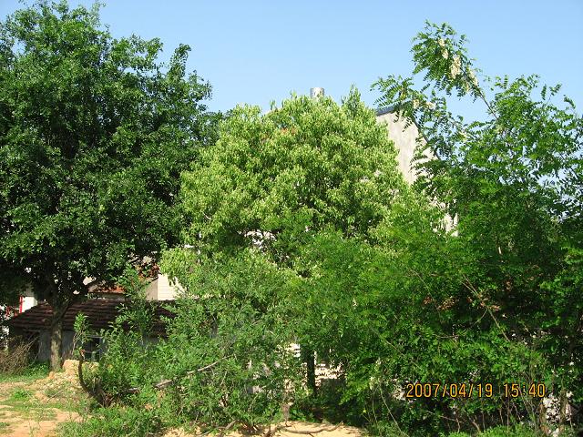 12.JPG