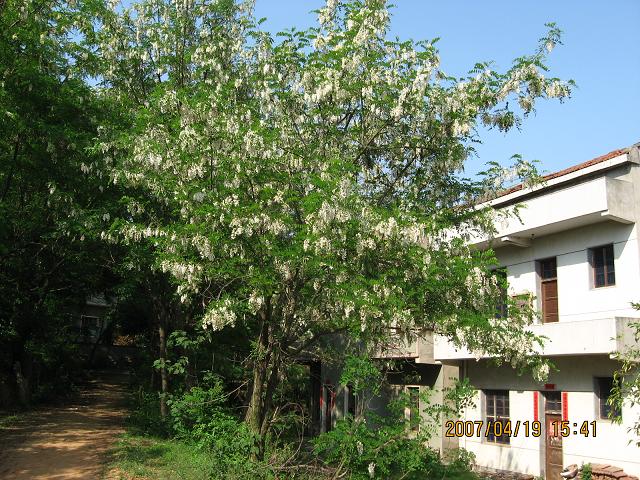 04.JPG