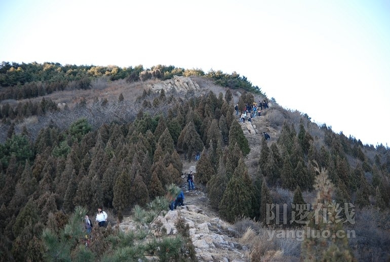 DSC_7666.jpg