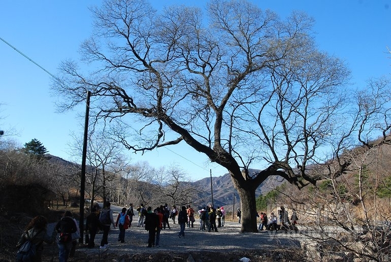 DSC_7606.jpg