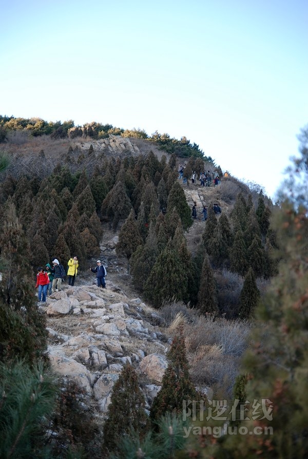 DSC_7664.jpg
