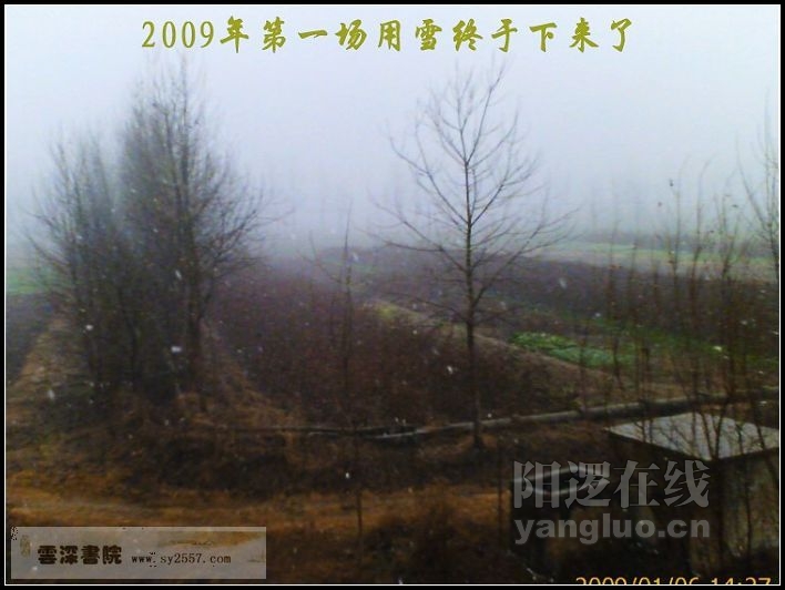 IMAGE_雪2.jpg