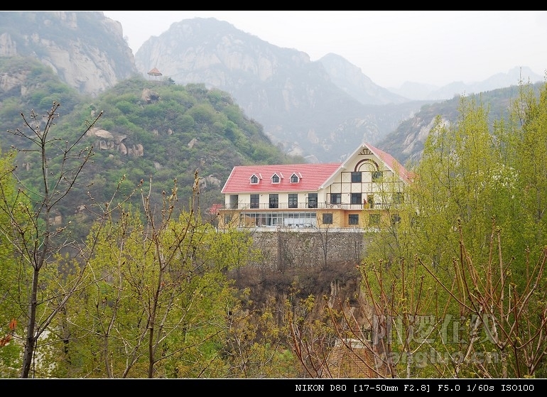 DSC_0267.jpg