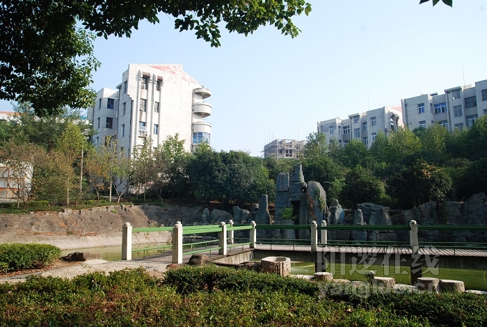 DSC_5402.jpg