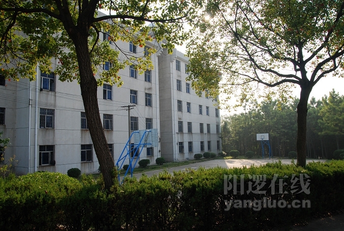 DSC_5406.jpg