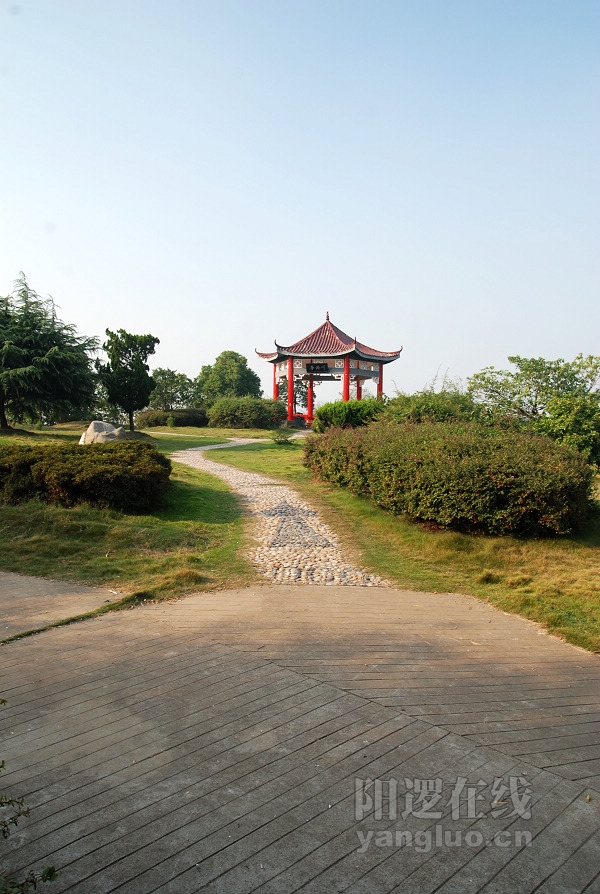DSC_5418.jpg