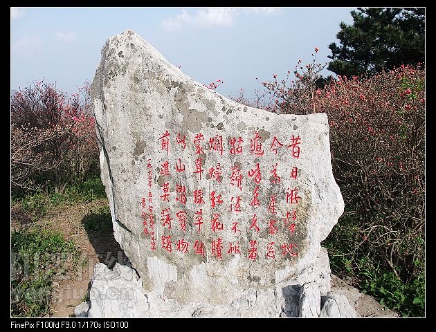 nEO_IMG_照片 280.jpg