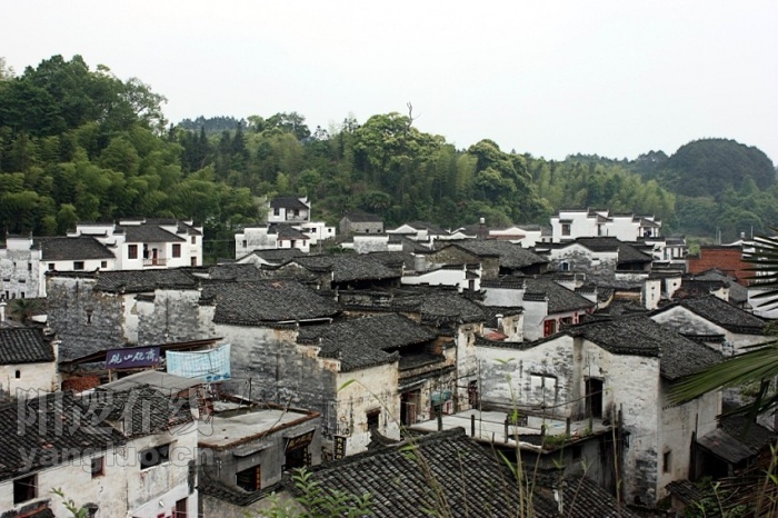 01.jpg